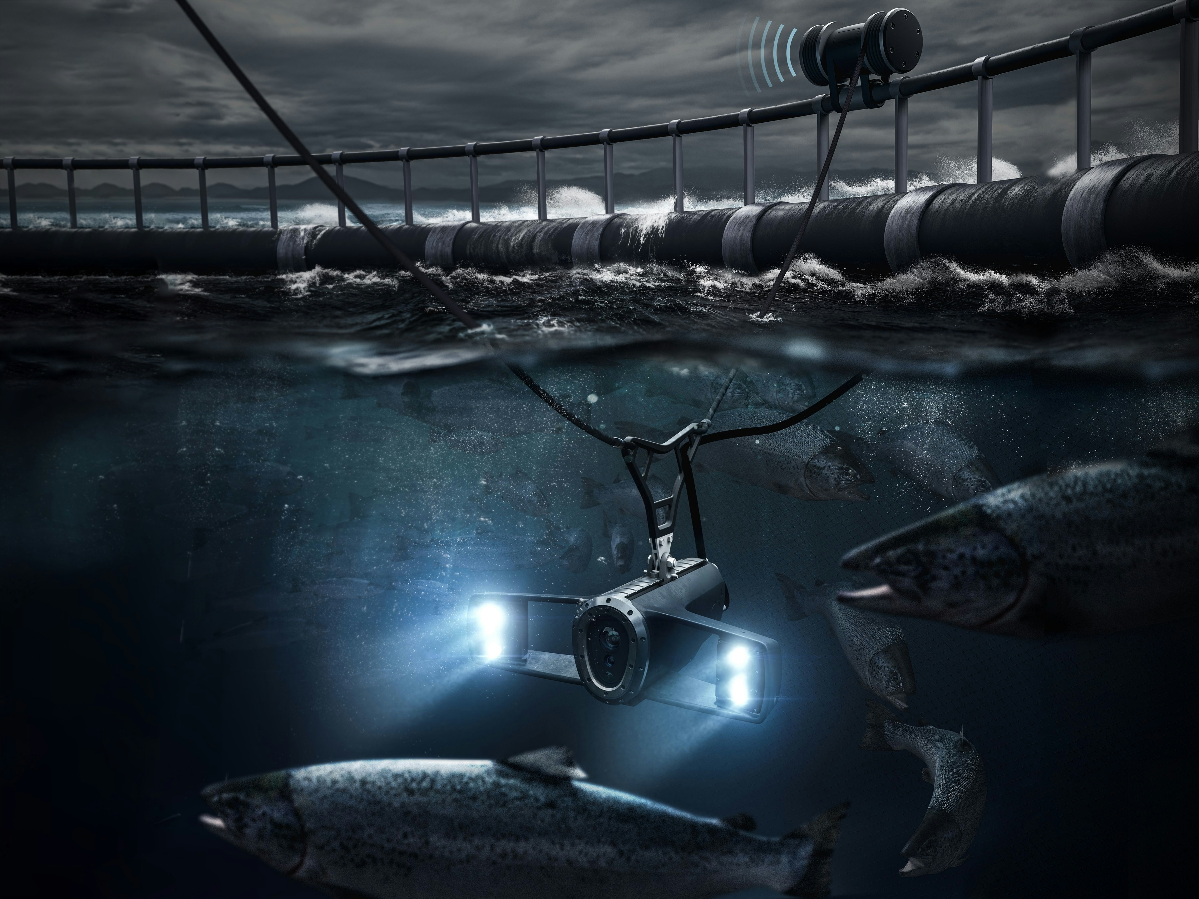 Underwater drone inside fish plantation. Photo.